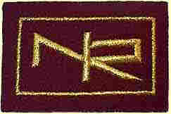 click for 5K .jpg image of NIR badge