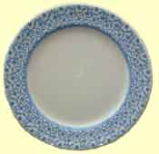 click for 2.7K .jpg image of NIR dinner plate