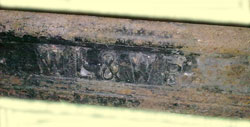 click for 10K .jpg image of wlwr detail